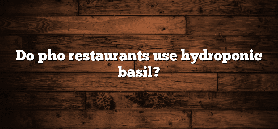 Do pho restaurants use hydroponic basil?