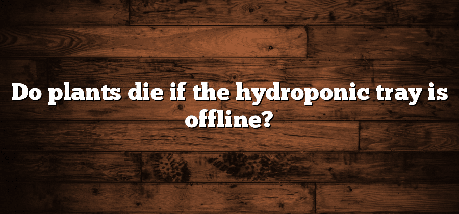 Do plants die if the hydroponic tray is offline?