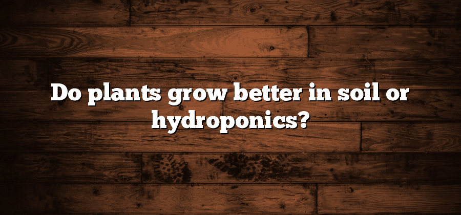 Do plants grow better in soil or hydroponics?