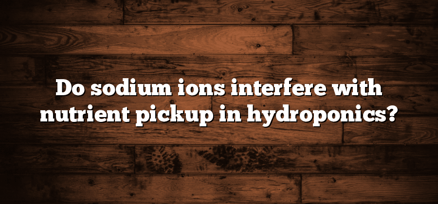 Do sodium ions interfere with nutrient pickup in hydroponics?