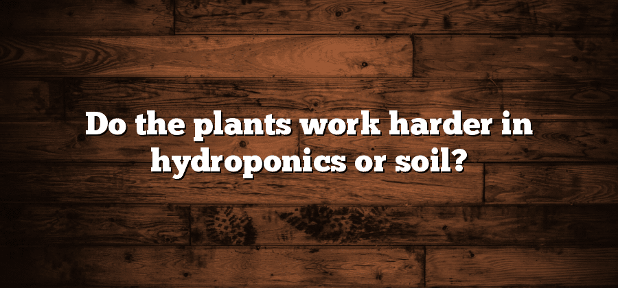 Do the plants work harder in hydroponics or soil?