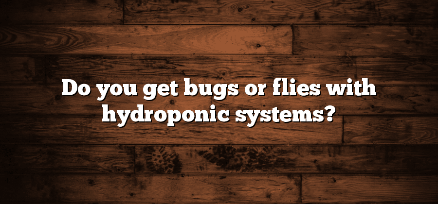 Do you get bugs or flies with hydroponic systems?
