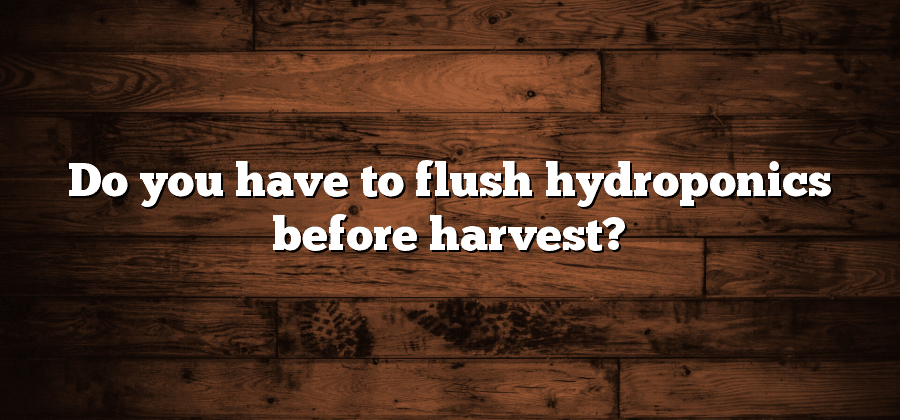 Do you have to flush hydroponics before harvest?