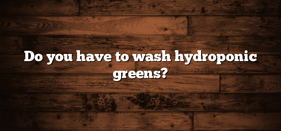 Do you have to wash hydroponic greens?