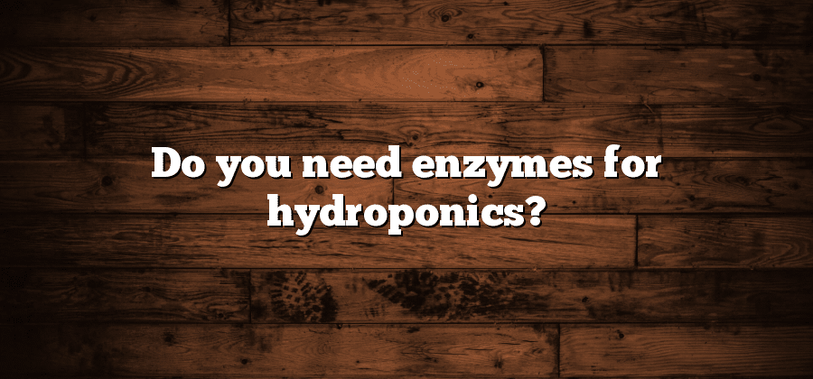 Do you need enzymes for hydroponics?