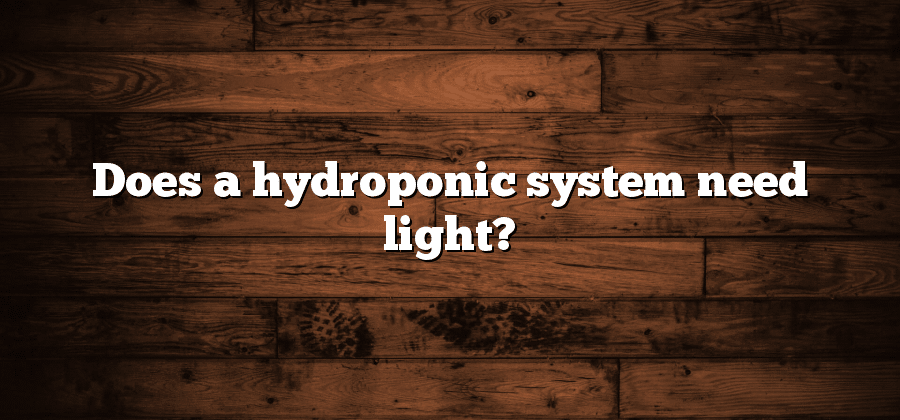 Does a hydroponic system need light?