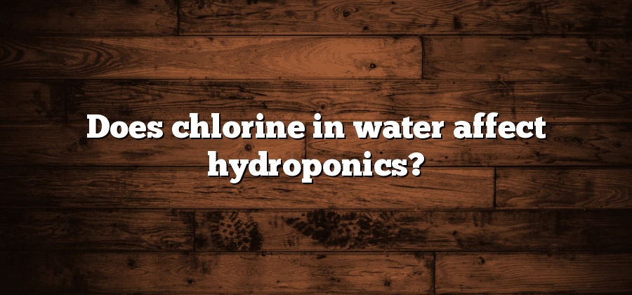 Does chlorine in water affect hydroponics?
