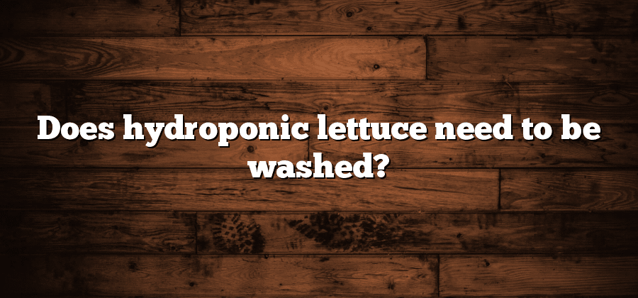 Does hydroponic lettuce need to be washed?
