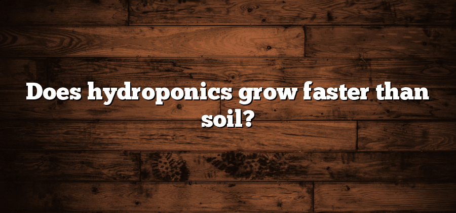 Does hydroponics grow faster than soil?