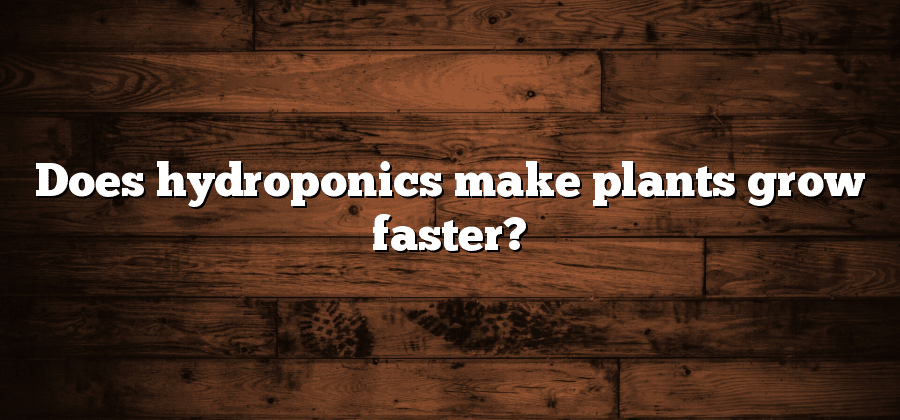 Does hydroponics make plants grow faster?