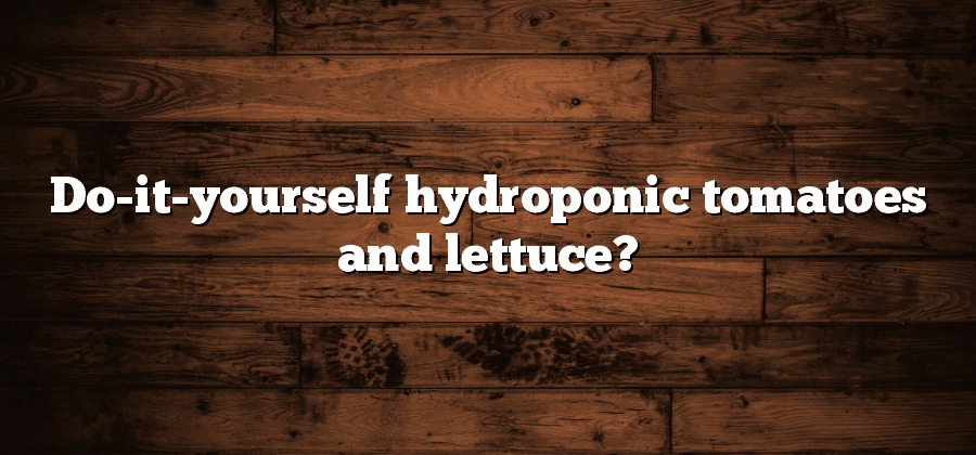 Do-it-yourself hydroponic tomatoes and lettuce?