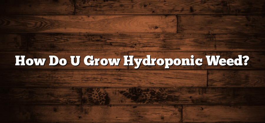 How Do U Grow Hydroponic Weed?