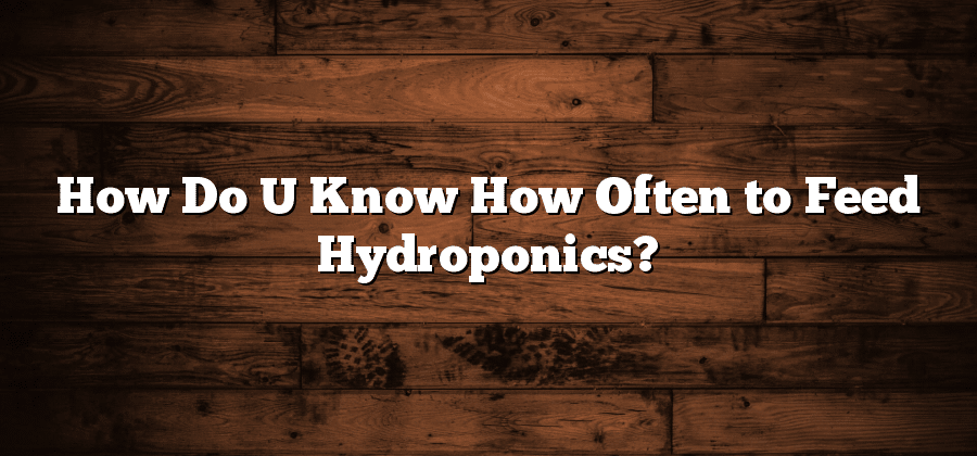 How Do U Know How Often to Feed Hydroponics?
