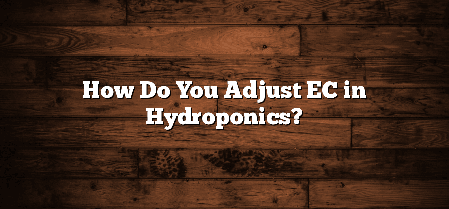How Do You Adjust EC in Hydroponics?