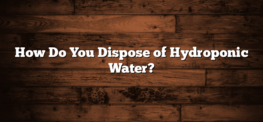 How Do You Dispose of Hydroponic Water?