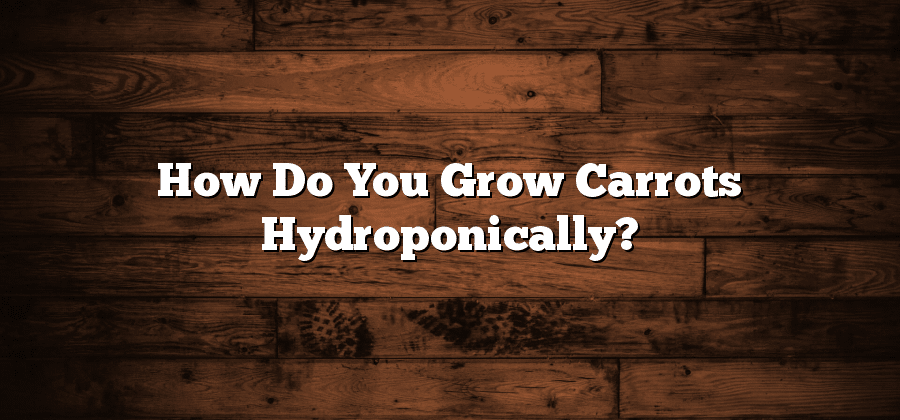 How Do You Grow Carrots Hydroponically?