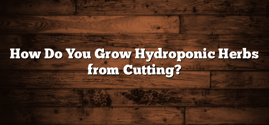 How Do You Grow Hydroponic Herbs from Cutting?