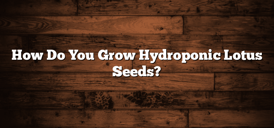 How Do You Grow Hydroponic Lotus Seeds?