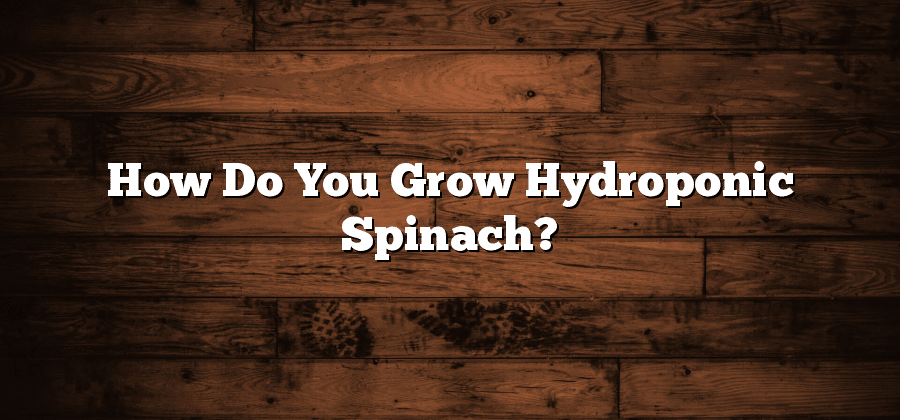 How Do You Grow Hydroponic Spinach?