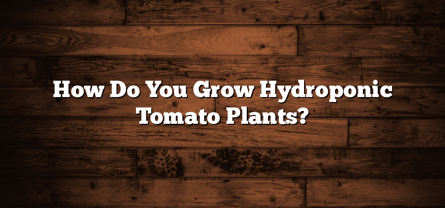 How Do You Grow Hydroponic Tomato Plants?