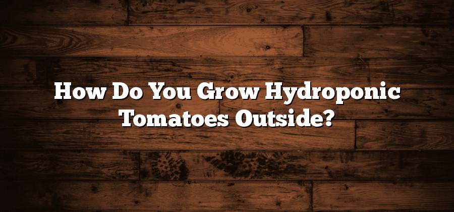 How Do You Grow Hydroponic Tomatoes Outside?