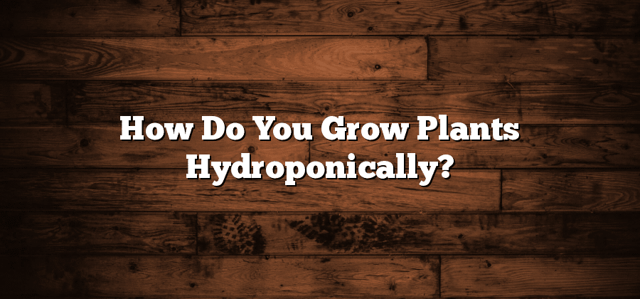 How Do You Grow Plants Hydroponically?
