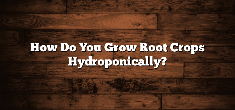 How Do You Grow Root Crops Hydroponically?