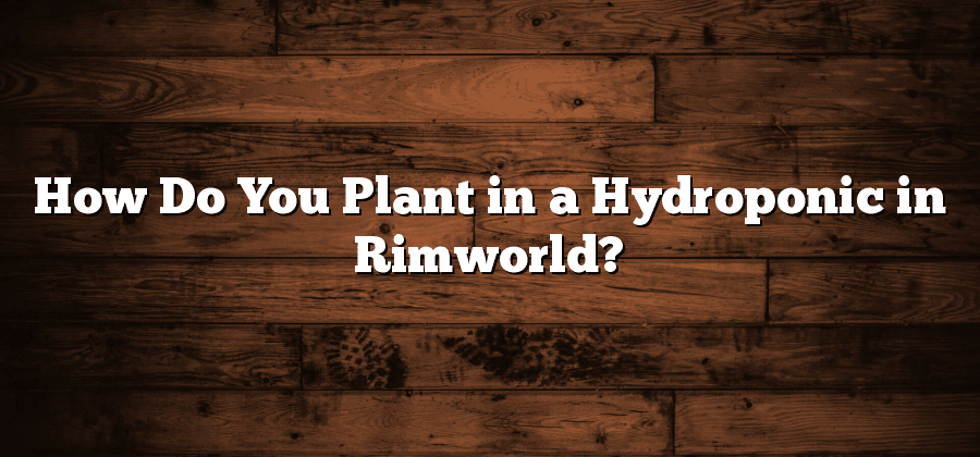 How Do You Plant in a Hydroponic in Rimworld?