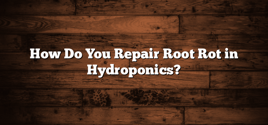 How Do You Repair Root Rot in Hydroponics?
