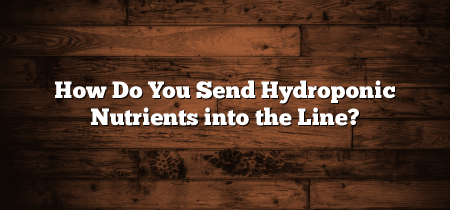 How Do You Send Hydroponic Nutrients into the Line?