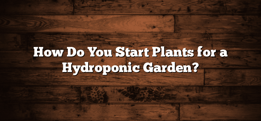How Do You Start Plants for a Hydroponic Garden?