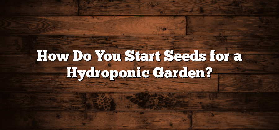 How Do You Start Seeds for a Hydroponic Garden?