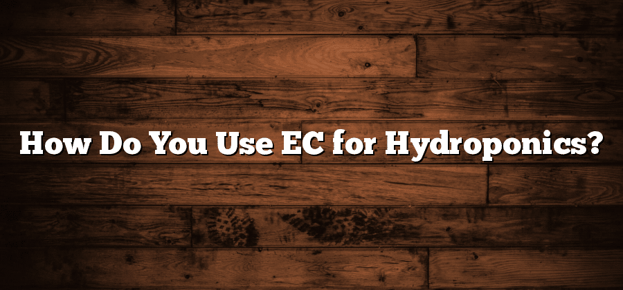 How Do You Use EC for Hydroponics?
