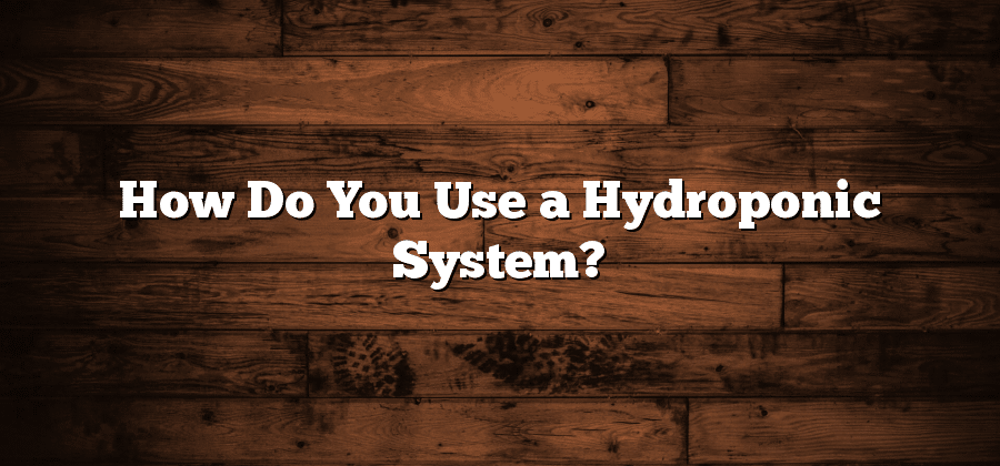 How Do You Use a Hydroponic System?
