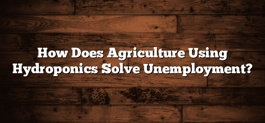 How Does Agriculture Using Hydroponics Solve Unemployment?