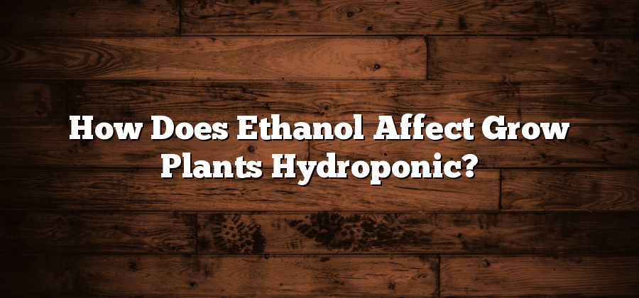 How Does Ethanol Affect Grow Plants Hydroponic?