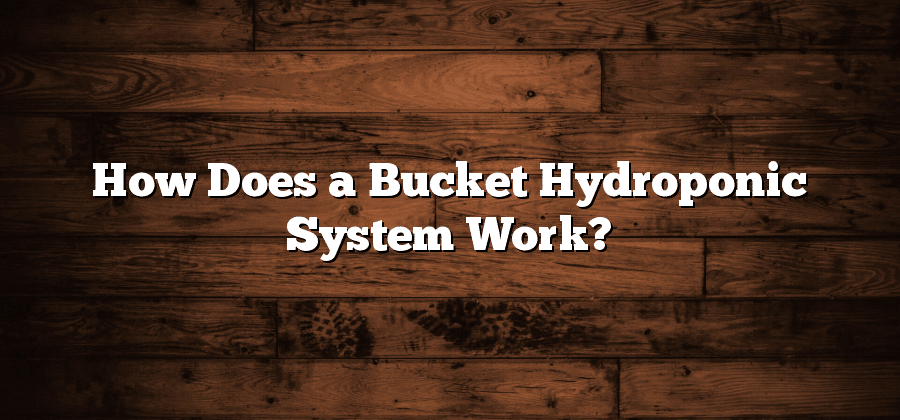 How Does a Bucket Hydroponic System Work?