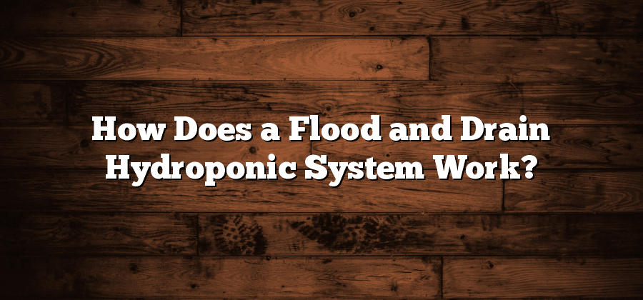 How Does a Flood and Drain Hydroponic System Work?