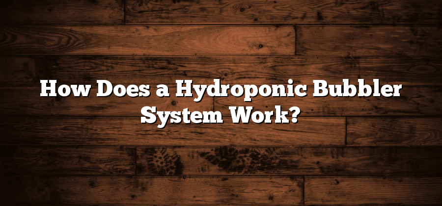 How Does a Hydroponic Bubbler System Work?