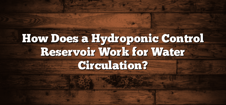 How Does a Hydroponic Control Reservoir Work for Water Circulation?