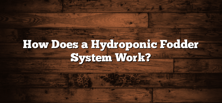 How Does a Hydroponic Fodder System Work?