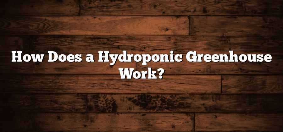 How Does a Hydroponic Greenhouse Work?
