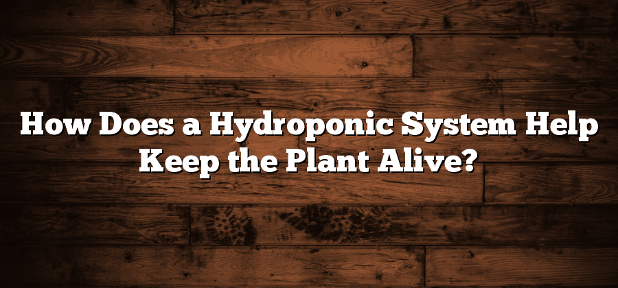 How Does a Hydroponic System Help Keep the Plant Alive?