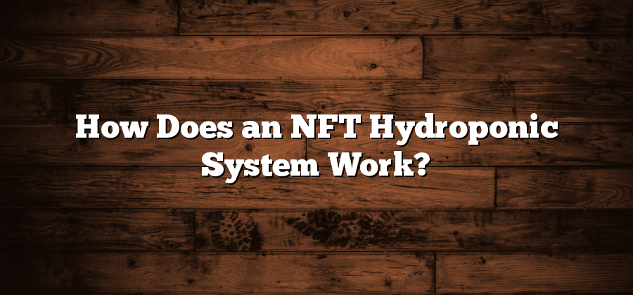 How Does an NFT Hydroponic System Work?