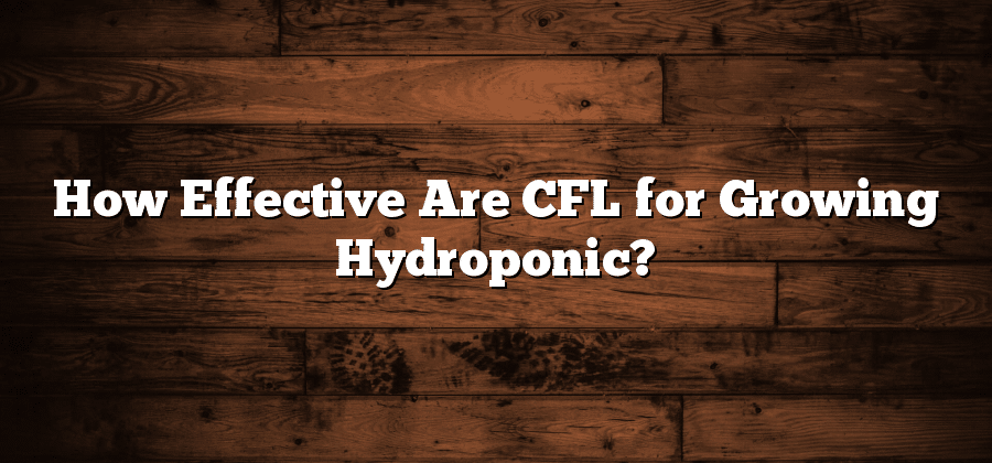 How Effective Are CFL for Growing Hydroponic?