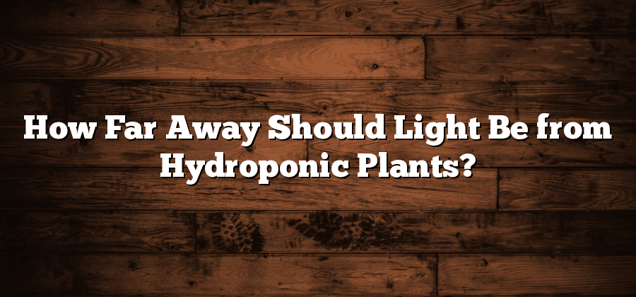 How Far Away Should Light Be from Hydroponic Plants?