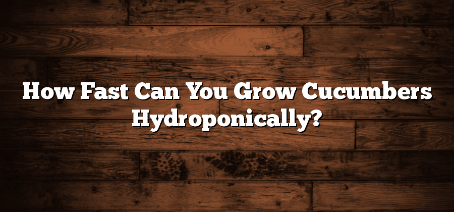 How Fast Can You Grow Cucumbers Hydroponically?