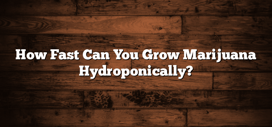 How Fast Can You Grow Marijuana Hydroponically?