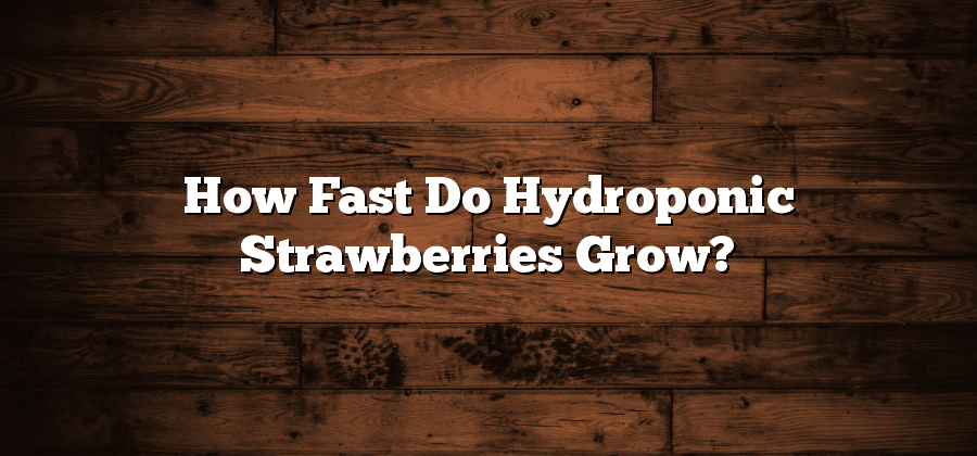 How Fast Do Hydroponic Strawberries Grow?