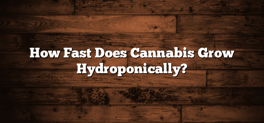 How Fast Does Cannabis Grow Hydroponically?